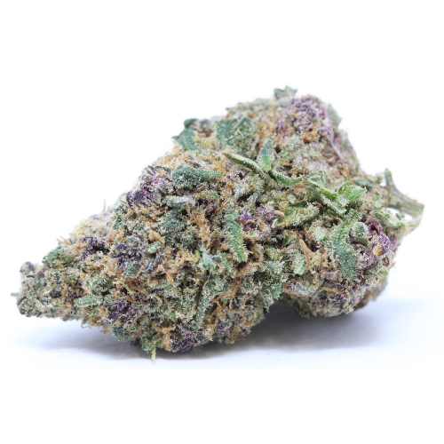 Harlequin | 23% CBD | Indoor