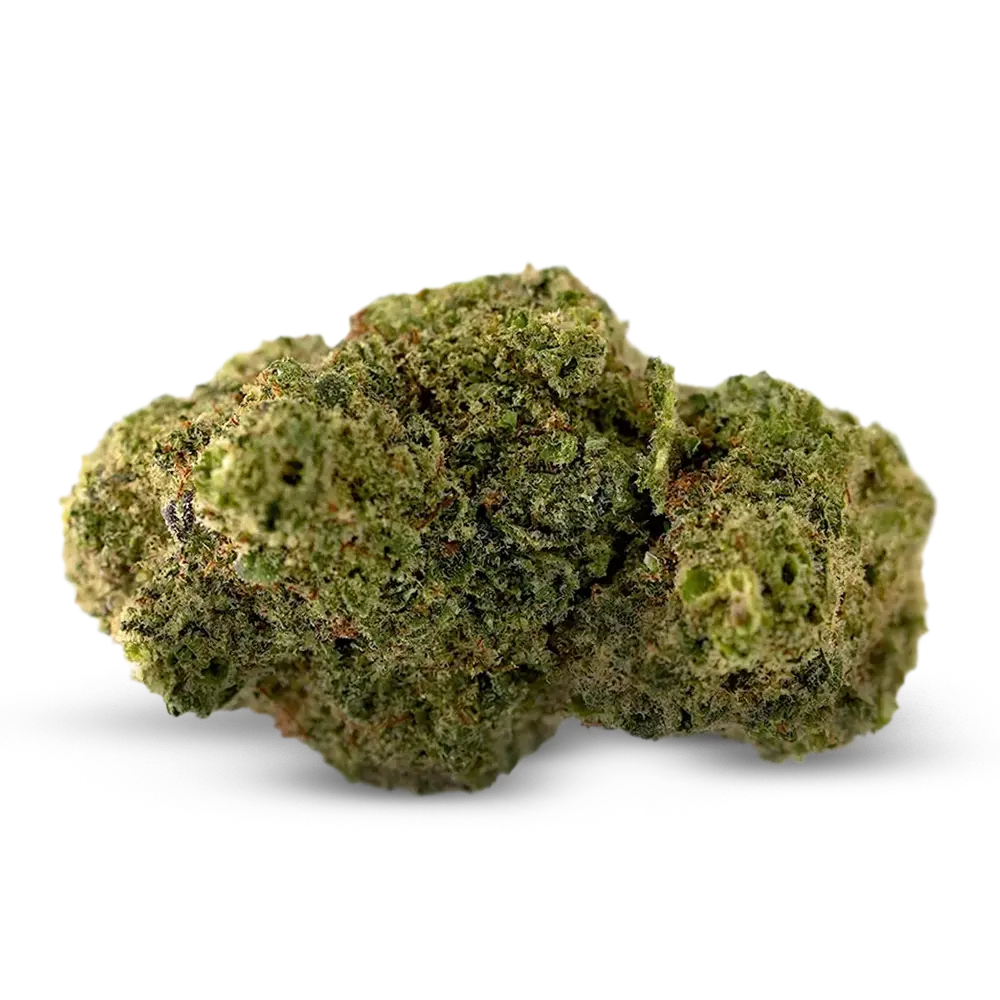 Gelato