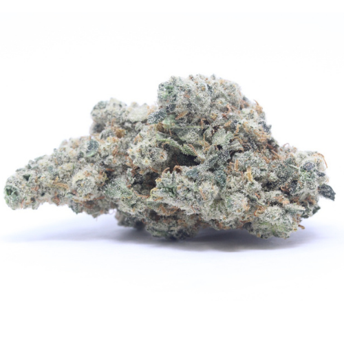 Lemon Haze | 23% CBD | Indoor