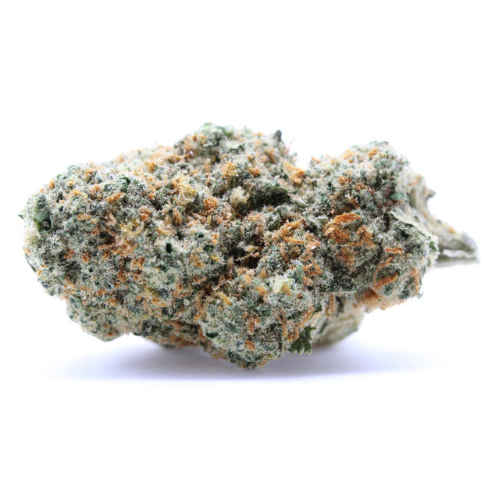Mango Haze | 23% CBD | Indoor