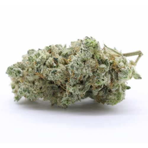 OG Kush V2 Frost | 23% CBD | Indoor