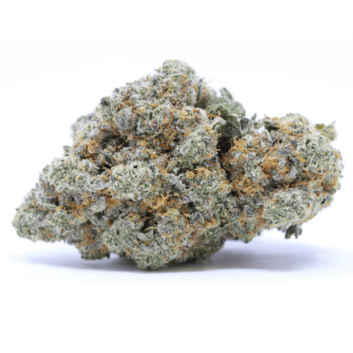 Solero Indoor | 22% CBD | Indoor