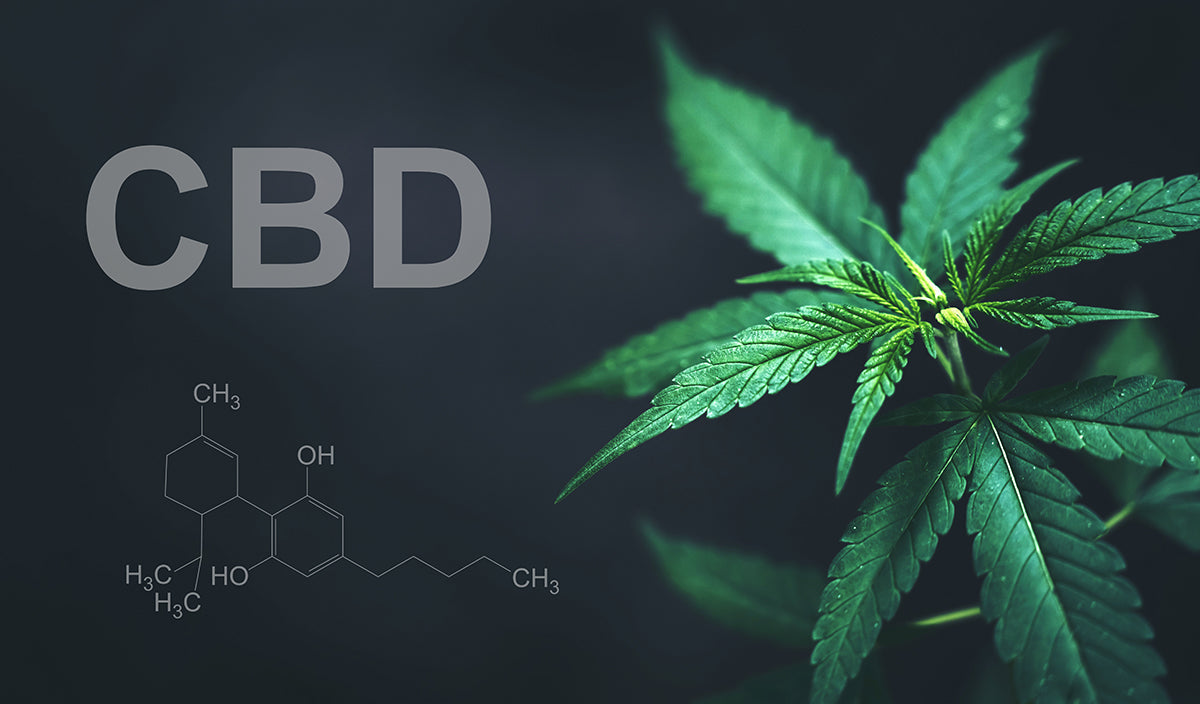 Comment agit le CBD ?