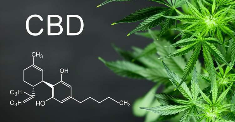 Qu'est ce que le CBD ?