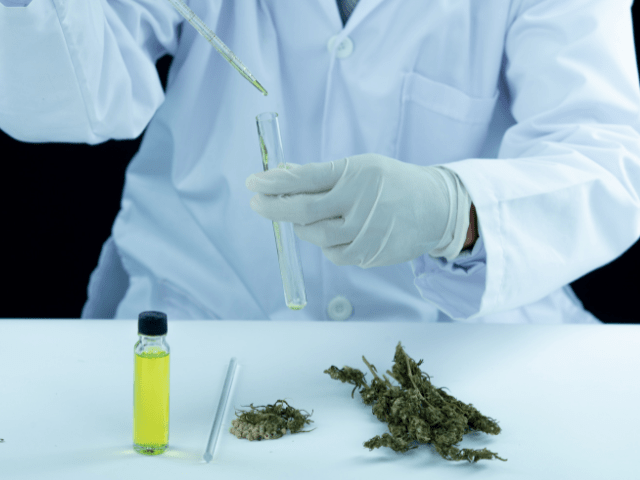 THV-N10 cannabinoïde de synthèse légal