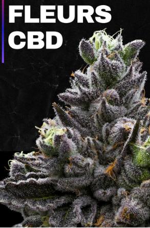 Fleurs de Cannabis CBD