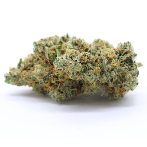 Bluedream Indoor | 24% CBD | Indoor