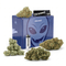 Pack Halloween CBD+