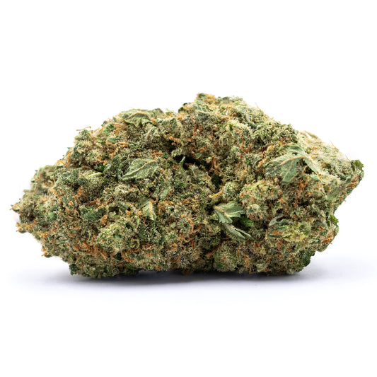 Amnesia Haze (Amsterdam Genetics)
