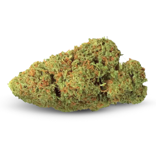 Critical 2.0 THV+ | 22% THV+
