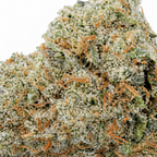 Gorilla Glue CBD+ | 36% CBD+ | Indoor
