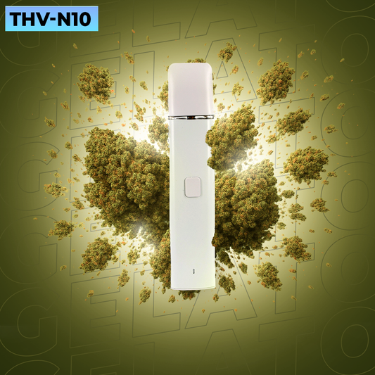 Puff Gelato Rechargeable | 90% THV-N10