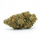 GMO Cookies | 34% CBD+ | Indoor | Édition Limitée