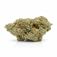 Lemon Stardust | 30% CBN+ | Indoor | Édition Limitée