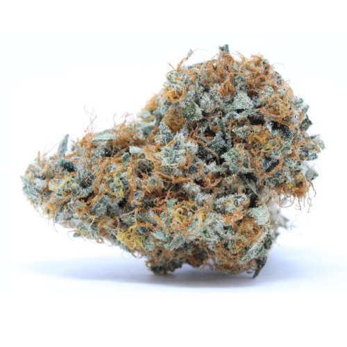 Orangello Indoor 21% CBD