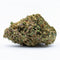 PURPLE HAZE CRYO