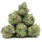 Pop Corn Pineapple Dream | 24% CBD | Indoor