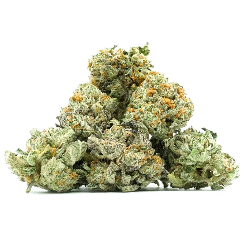 Small Buds Peach Ringz | 19% CBD | Indoor