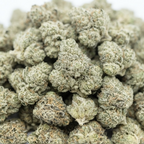 SMALL BUDS JACK HERER | 28% CBD+ | GREENHOUSE