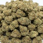 Small Buds Zkittlez | 30% CBD+ | Indoor