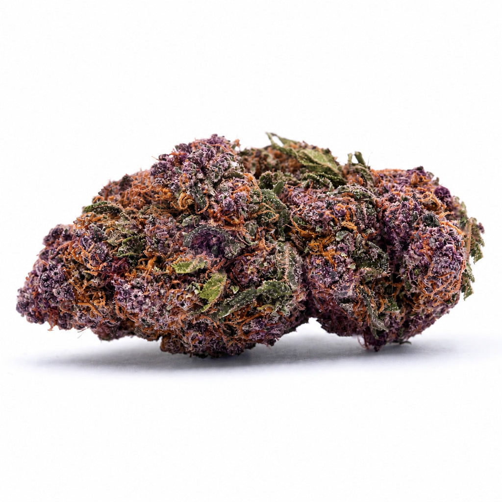 Purple Bliss | 32% CBN+ | Hydroponique
