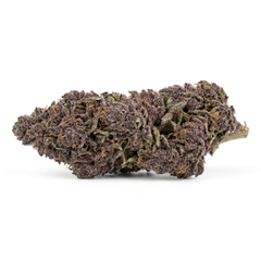 Purple Punch | 27 CBN+ | GreenHouse