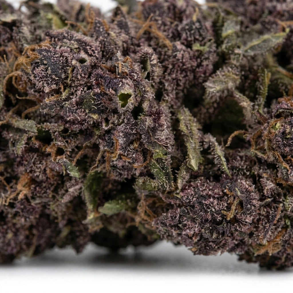 Purple Punch | 27 CBN+ | GreenHouse