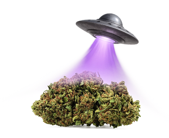 Rejoins la galaxie Okiweed