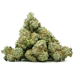 SMALL BUDS GORILLA GLUE | 17% CBD | GREENHOUSE