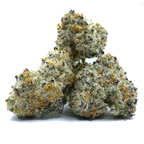 Small Buds Gelato #45 | 32% CBD+ | Indoor
