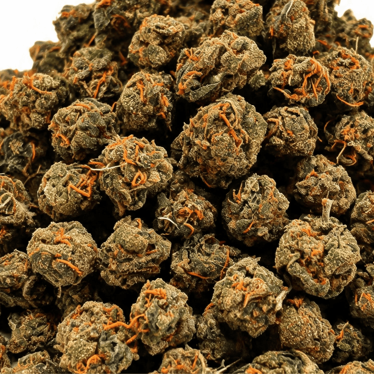 Small Buds Lifter USA | 18% CBD | GreenHouse
