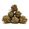 Small Buds Lifter USA | 18% CBD | GreenHouse