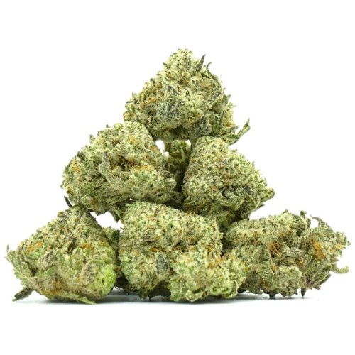 Small Buds Mango Velvet #6 | 25% CBD | Indoor