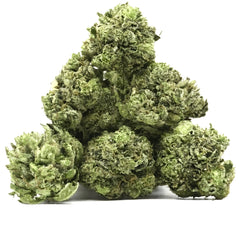 Small Buds Tahoe OG | 24% CBN+ | Indoor