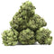 Small Buds Tahoe OG | 24% CBN+ | Indoor