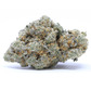 Solero Indoor | 22% CBD | Indoor