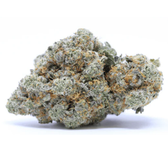 Solero Indoor | 22% CBD | Indoor