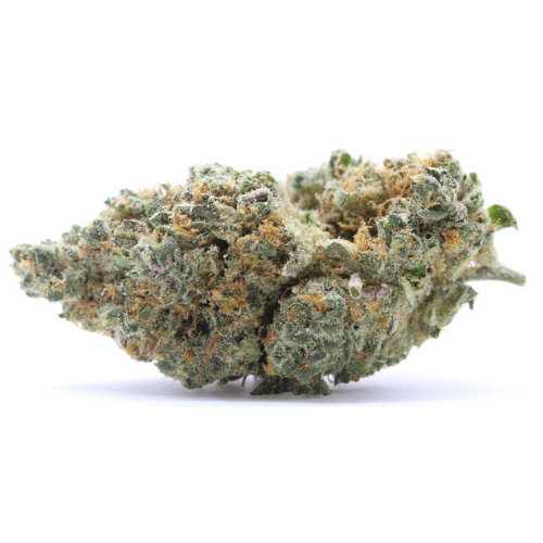 Swiss Cheese | 23% CBD | Indoor