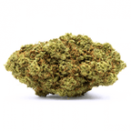 Tangerine Gas | 27% CBD | Indoor | Édition Limitée