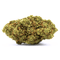 Tangerine Gas | 27% CBD | Indoor | Édition Limitée