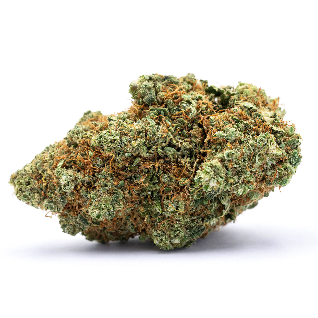 Wasted Haze | 26% CBD | Indoor