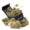 PACK DÉCOUVERTE MIX CBD+