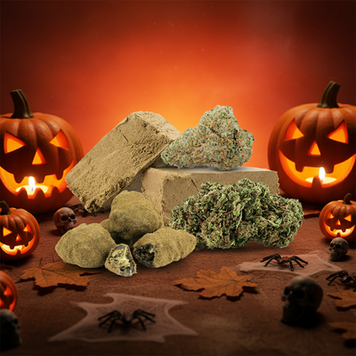 Pack Halloweed CBD & CBD+