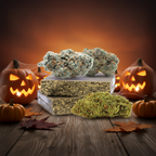 Pack Halloweed CBD & CBD+
