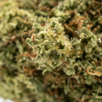 Tangerine Gas | 27% CBD | Indoor | Édition Limitée