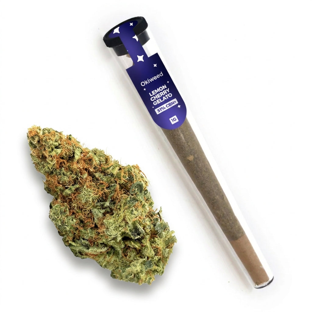 Pré Roll Lemon Cherry Gelato | 31% CBN+ | Indoor