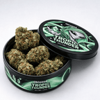 Tropic Thunder | 29% CBD | Indoor